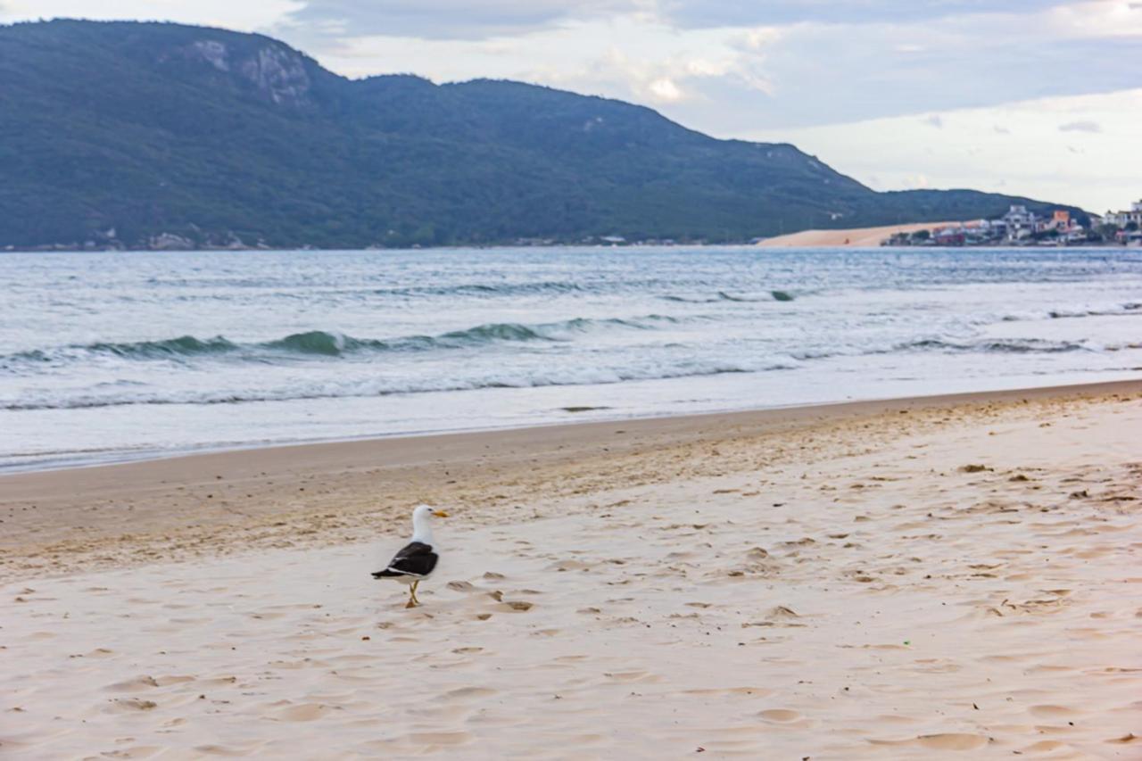 Cobertura Com Vista Mar Para 6 Hospedes, 150 Metros Da Praia Dos Ingleses Ing17 Florianopolis Ngoại thất bức ảnh